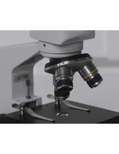 Zuzi 116 2