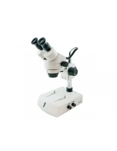 BMS 140