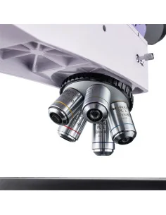 MAGUS METAL 650 BD 2