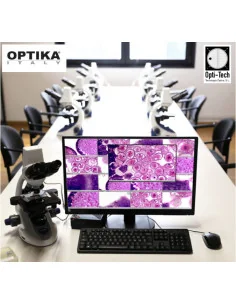 Optika OWL-24PKG